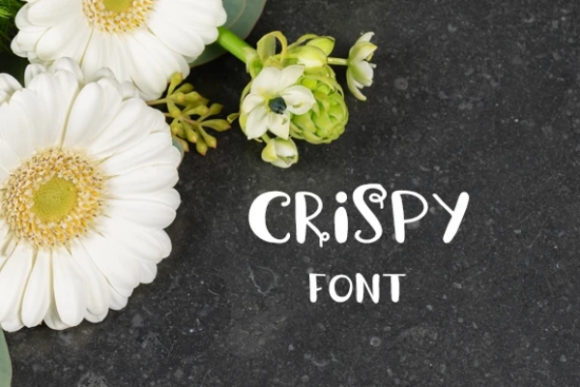 Crispy Font for Modern Web Design