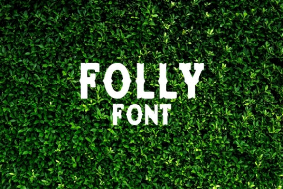 Folly Font for Handmade Creations and Elegant Designs