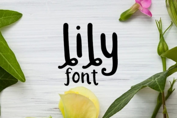 Lily: A Friendly Display Font for Your Brand